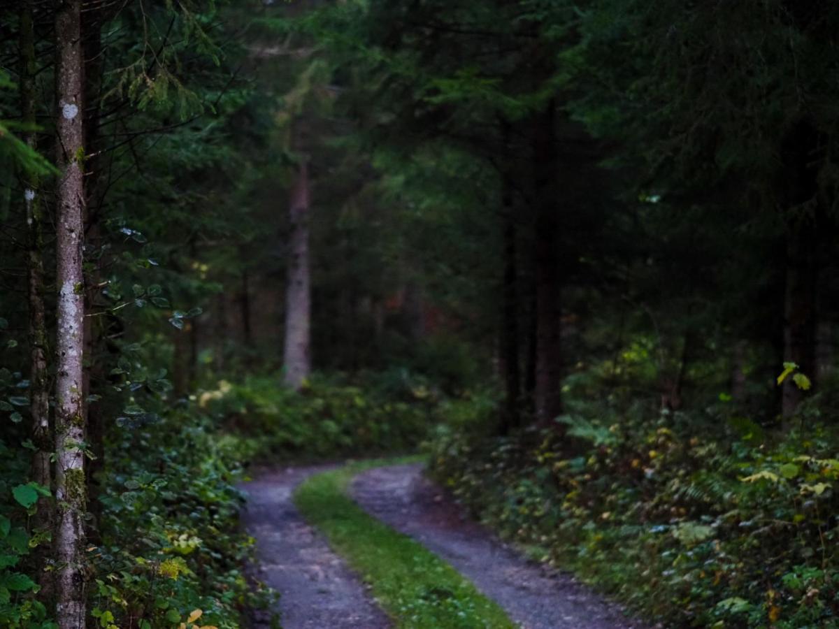 Chalet Le Dorf Nötsch エクステリア 写真